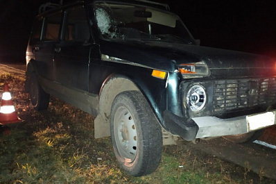 В Самарской области водитель насмерть сбил пешехода в темноте