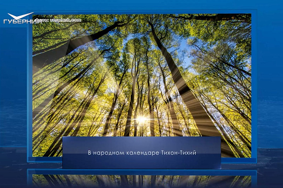 Тихон-Тихий. Календарь Губернии от 29 июня