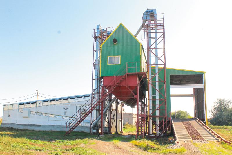 Молочный план: как в Новом Сарбае развивают животноводство