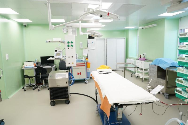 Хирурги избавили женщину от 12-сантиметрового паразита