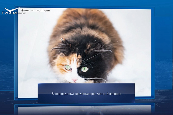 День Катыша. Календарь Губернии от 5 марта