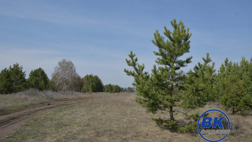 20 апреля в истории и архиве "ВК"