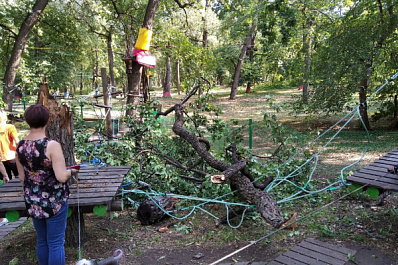 В Загородном парке в Самаре 8 августа на детский верёвочный парк рухнула крупная ветка дерева