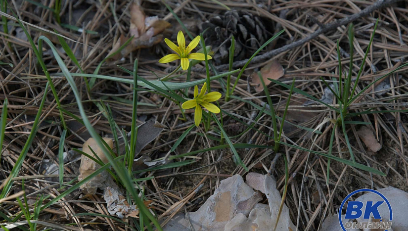 18 апреля в истории и архиве "ВК"