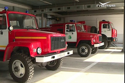 Государственная лесная служба усилила контроль в Самарской области