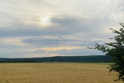 Жителей области сегодня предупреждают о сильном ветре и дожде 