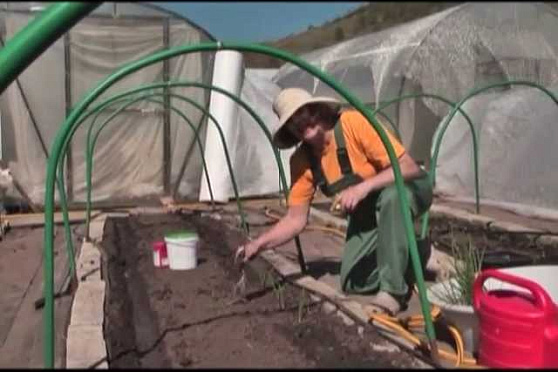 Дачные советы 16.05.2013 