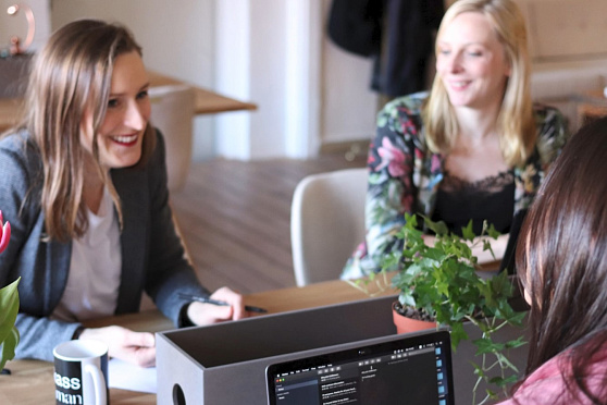 День подлиз. Утро Губернии