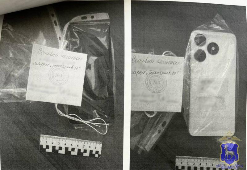 В Самарской области у женщины с детьми украли телефон в парке 