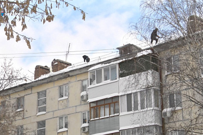 В Отрадном проверили качество уборки снега во дворах жилых домов