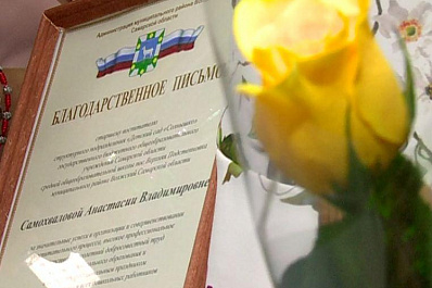 В Самарской области отметили День воспитателя