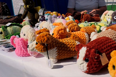 В Самаре прошла всероссийская ярмарка для предпринимателей