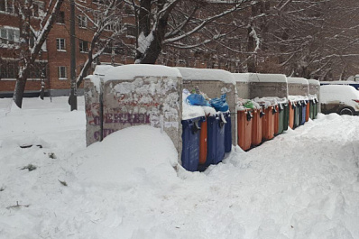 В Самарской области из-за снежных завалов спецтехника не может вывезти мусор