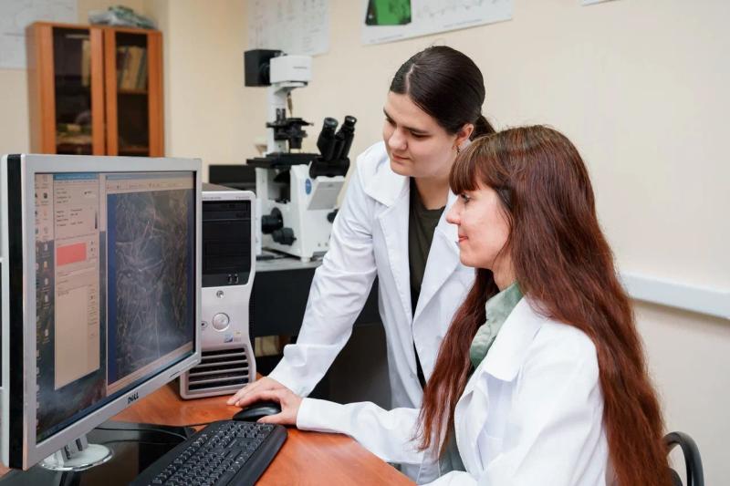 Способ лазерного экспресс-анализа продуктов детского питания разработали в Самарском университете им. Королёва