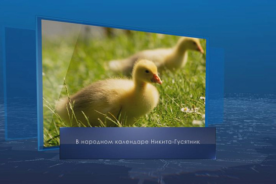 Никита-Гусятник. Календарь губернии от 10 июня