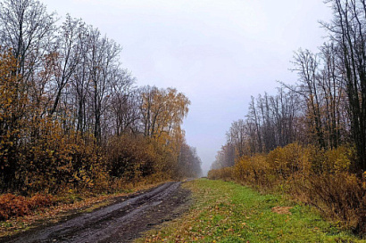 Название статьи