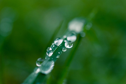 Название статьи