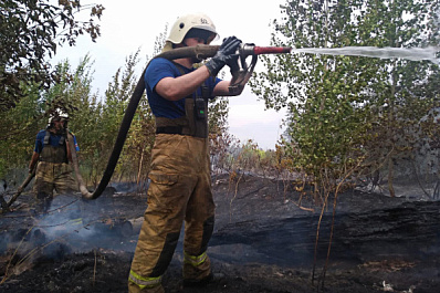 Площадь пожара в Центральном районе Тольятти увеличилась до 152,6 га