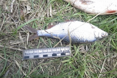 Потянуло на окуня: самарца осудят за незаконную рыбалку