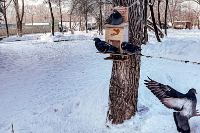 Синоптики рассказали, какая погода будет в начале февраля в Поволжье