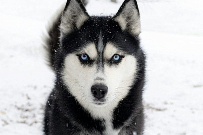 Название статьи