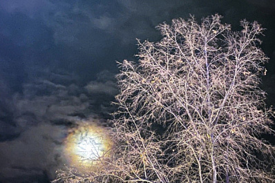 В Самарскую область 14 ноября нагрянет метель