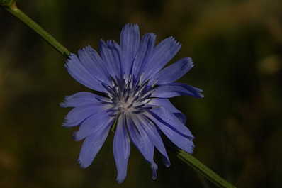 Народные приметы на 4 июня 2025 года: что нельзя делать в этот день