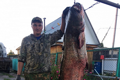 Название статьи