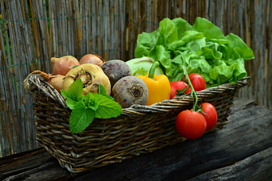 Российские производители почти полностью обеспечивают население страны овощами
