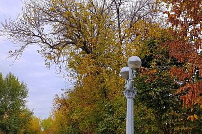 В Самаре может появиться "Сад Лукачева"