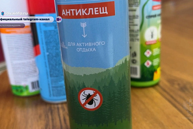 Самарцам рассказали, как защититься от клещей