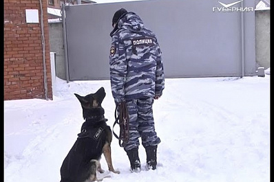 Полицейский пёс из Ставропольского района за год раскрыл 5 преступлений