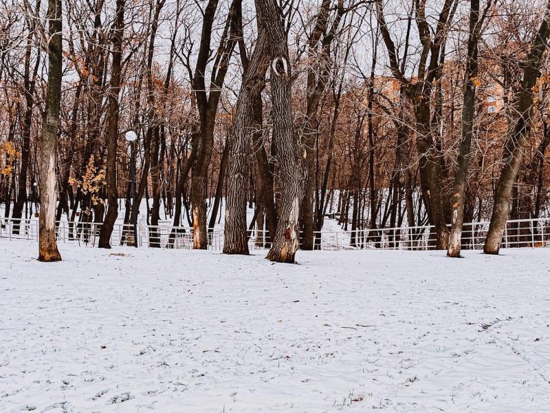 В Самарской области 8 декабря станет немного теплее