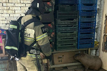 Название статьи