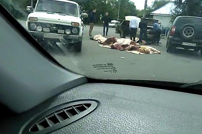 Горы мяса вывалили прямо на дорогу в Самаре