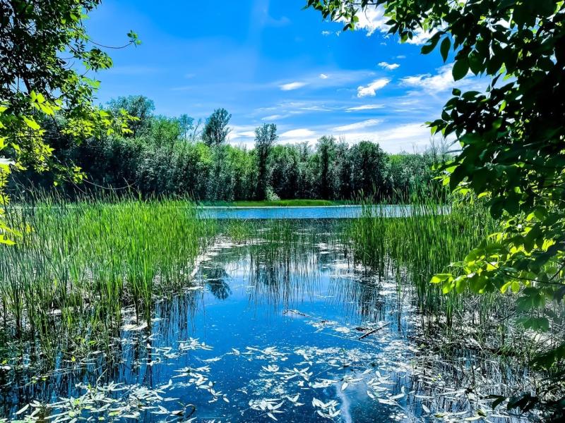 По тропам в горы: популярные туристические маршруты Самарской Луки