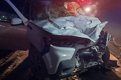 В Самарской области на трассе М5 столкнулись грузовик и "Нива"