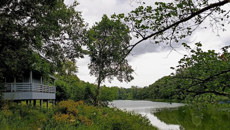 Отель, термальный комплекс и яхт-клуб: в Самарской области построят оздоровительно-спортивный комплекс