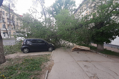В Самаре дерево рухнуло на припаркованные машины на проспекте Масленникова