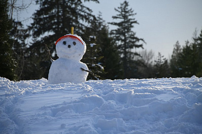 Диванная феерия против снеговиков: как провели новогодние каникулы самарцы