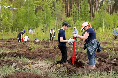 Название статьи