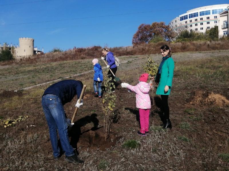В Тольятти на набережной Комсомольского района активисты посадили 500 берез