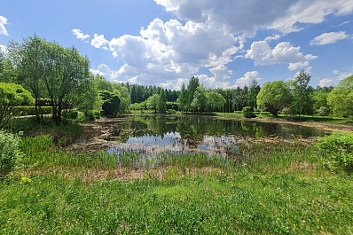 Ульяновцев приглашают на бесплатную экскурсию в дендропарк 31 мая