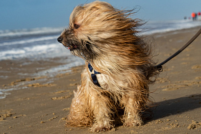 Название статьи