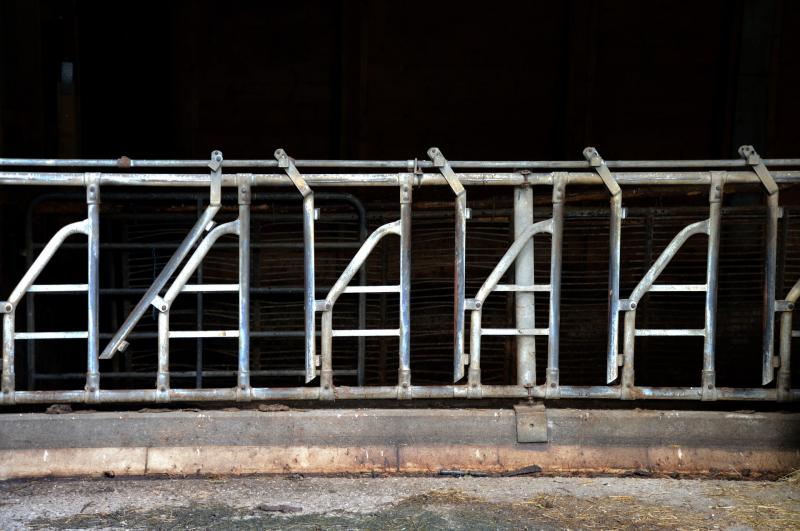 Подросток при падении попал рукой в электромясорубку на предприятии под Новосибирском