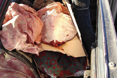 250 кг подозрительной говядины задержал Россельхознадзор на трассе Кинель - Борское