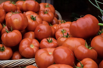 В Самаре опубликованы результаты ежедневного мониторинга низких цен на продукты 31 августа   