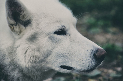 Название статьи