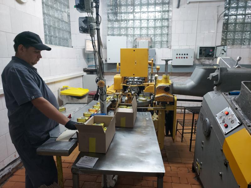 Как делают "молочку" в Красном Яре: репортаж с завода, который перерабатывает до 50 тонн сырья в сутки