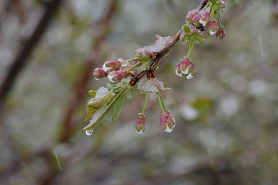 В Самарской области 2 мая побит рекорд минимальных температур